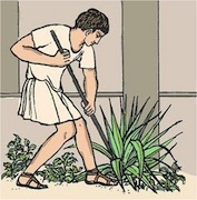 Slave gardening